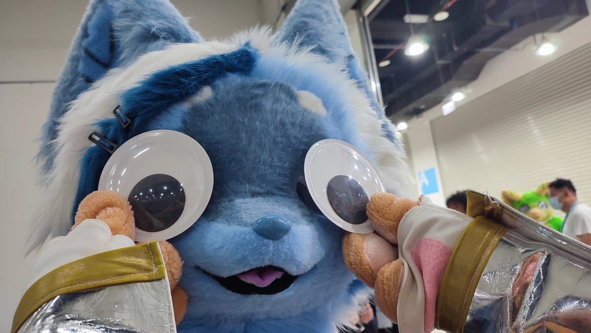 三次元乗貳貓 tweet media