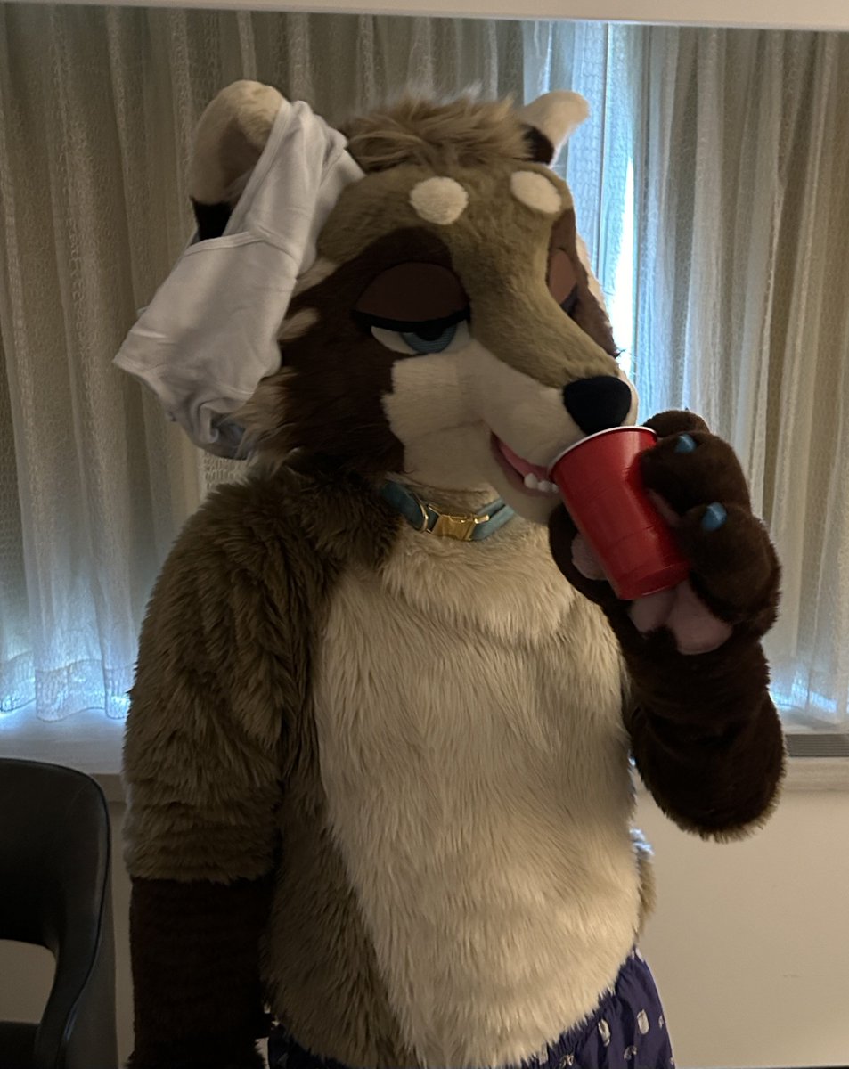Your briefs? Nah man haven't seen them