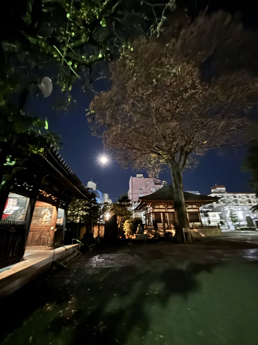 2025年師走

この前まで

暑い暑いってたのに…

年末カウントダウン

今季いちばんの冷え込み