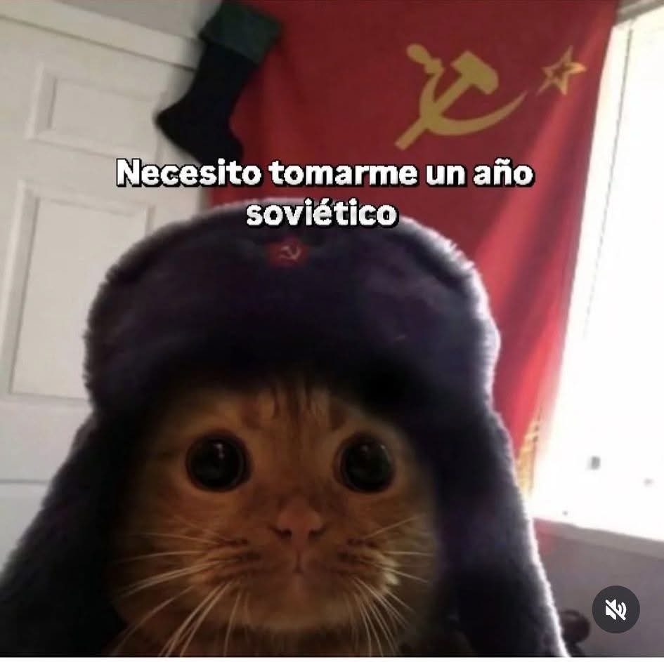 Dilo con gatitoz (@dilocongatitoz) on Twitter photo 