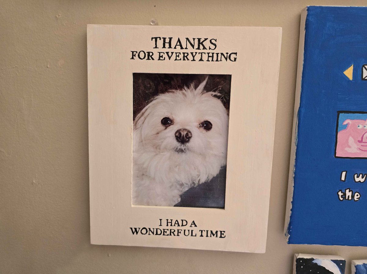 i'm pretty happy with this