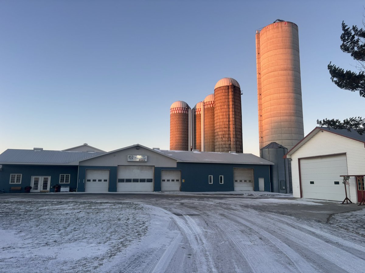 TimJaquemet's tweet photo. Pretty cozy feeding today. 
Brr that wind is nippy https://t.co/THECeDwNfj