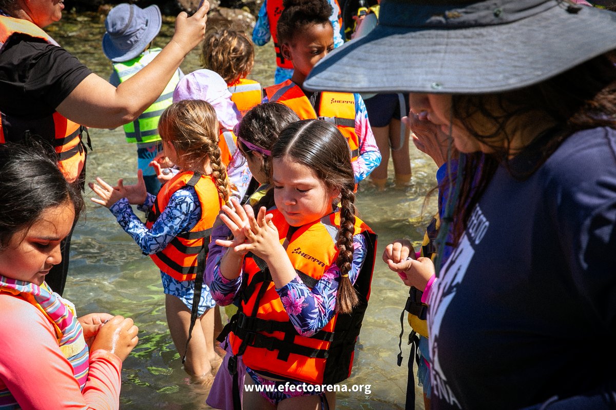 EfectoArena's tweet photo. La educación basada en el lugar demuestra que el aprendizaje significativo se da cuando los asistentes conectan directamente con el entorno.
En nuestro taller, el mar es el aula. Aquí, mediante actividades lúdicas comprenden por qué los ecosistemas importan y cómo protegerlos. https://t.co/NJXu0kCtrv
