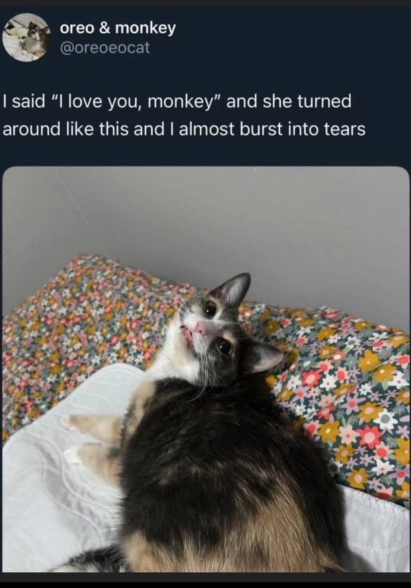 PowerfulAuraX's tweet photo. https://t.co/x70VgSQXAY
