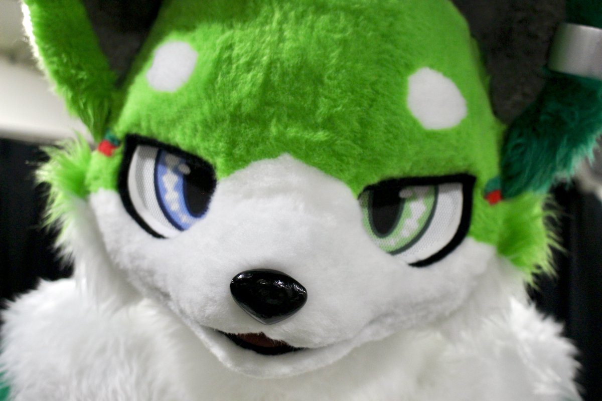 #FursuitFriday
カメラなんか近くない？📸🟢