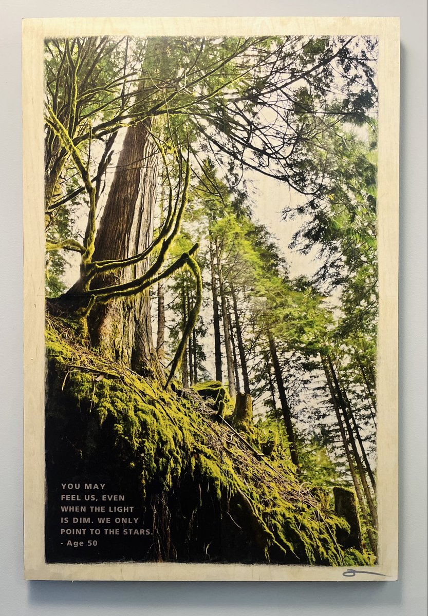 SacredStills's tweet photo. We’re open this Saturday, Dec 6th
For #firstsaturdayopenstudios happening:
Noon-5pm 
@ 89 Gore Ave, 
EastVan 

All artworks on Wood 24”x36”:
1. Gratitude
2. Peace
3. Stars
4. Kindness

#ClimateArt #ClimateChange #SpeakForMe https://t.co/0aWMrbT9ea