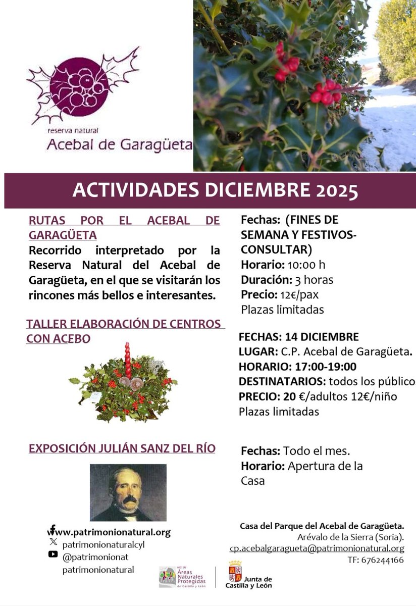 elacebarillo's tweet photo. Actividades programadas para diciembre. El Acebal de Garagüeta está espectacular, cargadito de frutos rojos. Muy recomendable visitarlo en una de nuestras rutas guiadas. 
#acebal #garagüeta #rutas #senderismo #rutasguiadas #acebo #naturaleza #ecoturismo #castillayleon https://t.co/A5uIYchCge