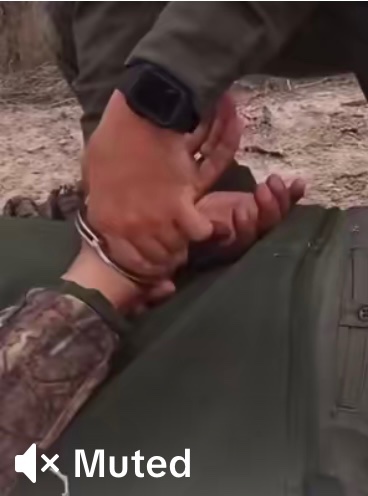 the ‘juno’ audio used by the white house has been taken down btw😌 business was stood on