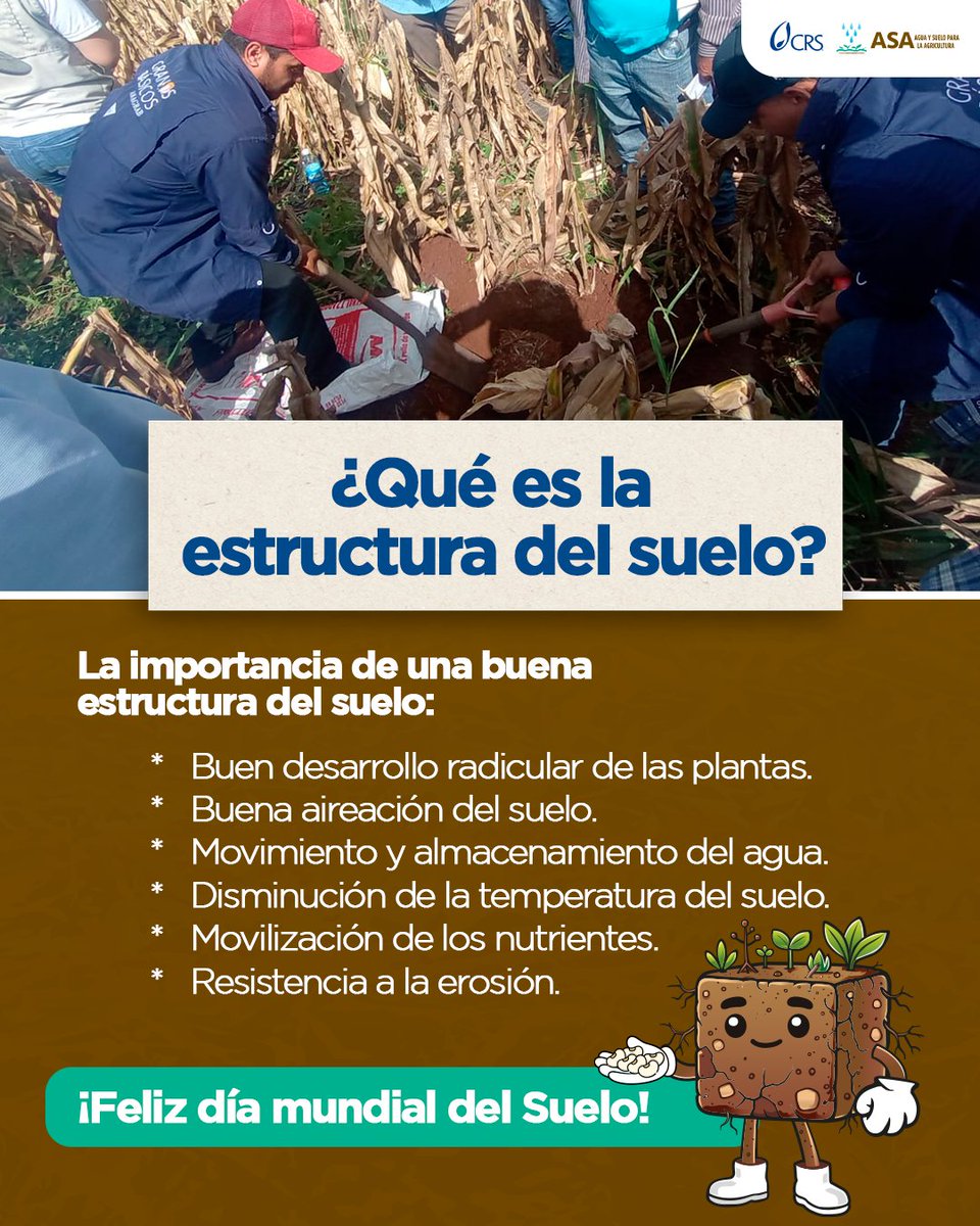 🌍🤎 En el Día Mundial del Suelo recordamos que no es solo “tierra”, ¡es vida!
Un suelo sano tiene terrones pequeños y esponjados que dejan pasar aire, agua y raíces.
Cuidarlo es asegurar mejores cultivos y un mejor futuro. 🌱✨
#DíaMundialDelSuelo #SueloSano #CuidemosLaTierra