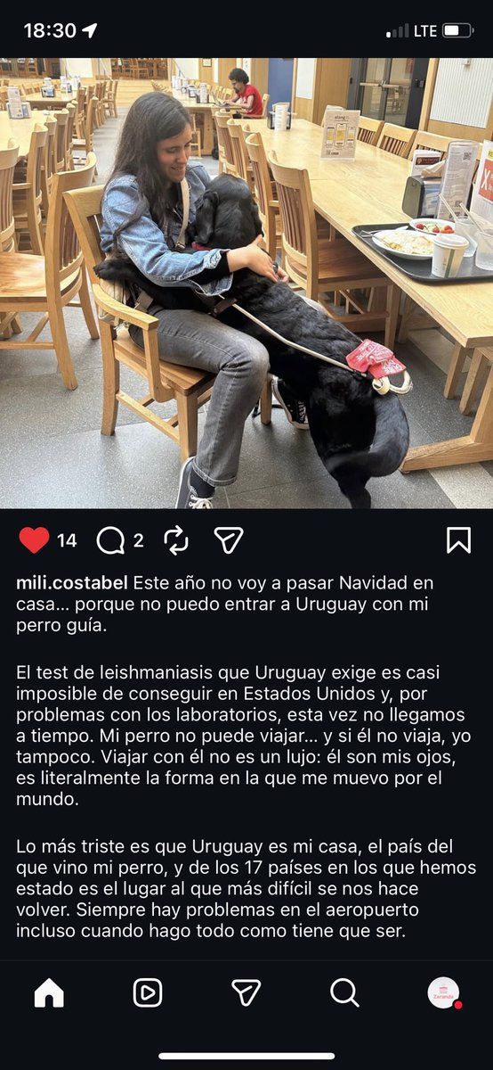 patogp's tweet photo. Mili Costabel, oriunda de Colonia del Sacramento, está estudiando en Harvard, a punto de recibirse, y este año no puede pasar navidad en Uruguay con su familia ya que la burocracia es tal, que no puede venir con su perro guía Indio. @MEC_Uruguay @compresidencia https://t.co/889BKZ4Tl5