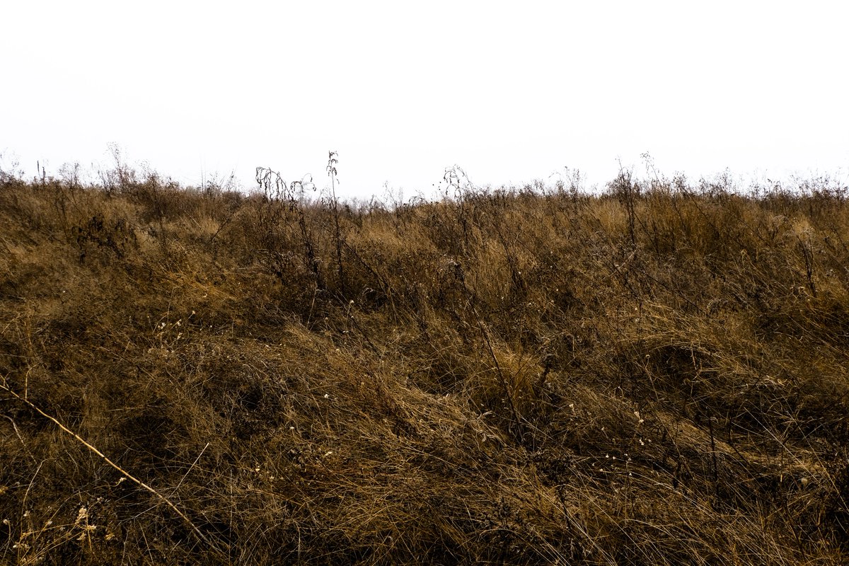 LyrYevhen's tweet image. Що розповісти тобі про степ?
Що я ще можу сказати? Де б
Ти не був, не шукав, не блукав,
Завжди знайдеш
Степ

Там, уві млі, у тумані, у сні,
Морем ковил пливу.
Бачиш? Палають вогні 
У нічному степу

Ми не повернемось. Нас — нема.
Вітер бринить у тиші
Чигаю між трав
Степу моєї душі