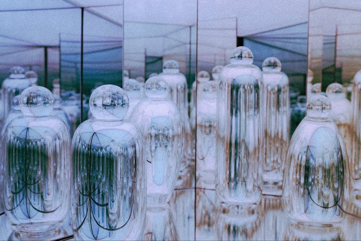 Shad ✵ tweet media