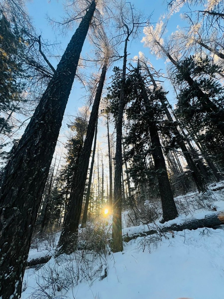 Өглөөний мэндээ,энэ өдрийн ажил үйлсэд нь өндөрөөс өндөр амжилт хүсье!🇲🇳🇲🇳🇲🇳🇲🇳🇲🇳🇲🇳🇲🇳🇲🇳🇲🇳