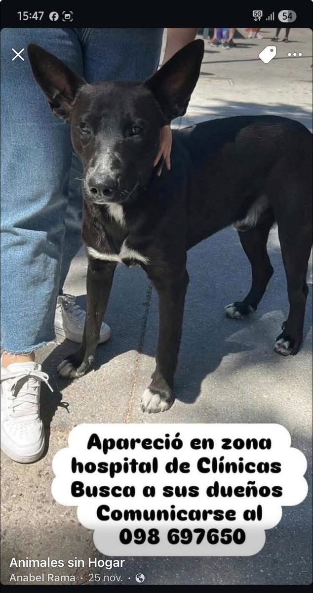 Adriana (@adriana43587622) on Twitter photo 