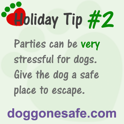 PetGuild's tweet image. 🎀Holiday Tip #2 - Parties can be very stressful for dogs. Give your dog a safe place to escape.
petprofessionalguild.com/programs/doggo…
#dogbiteprevention #speakdog