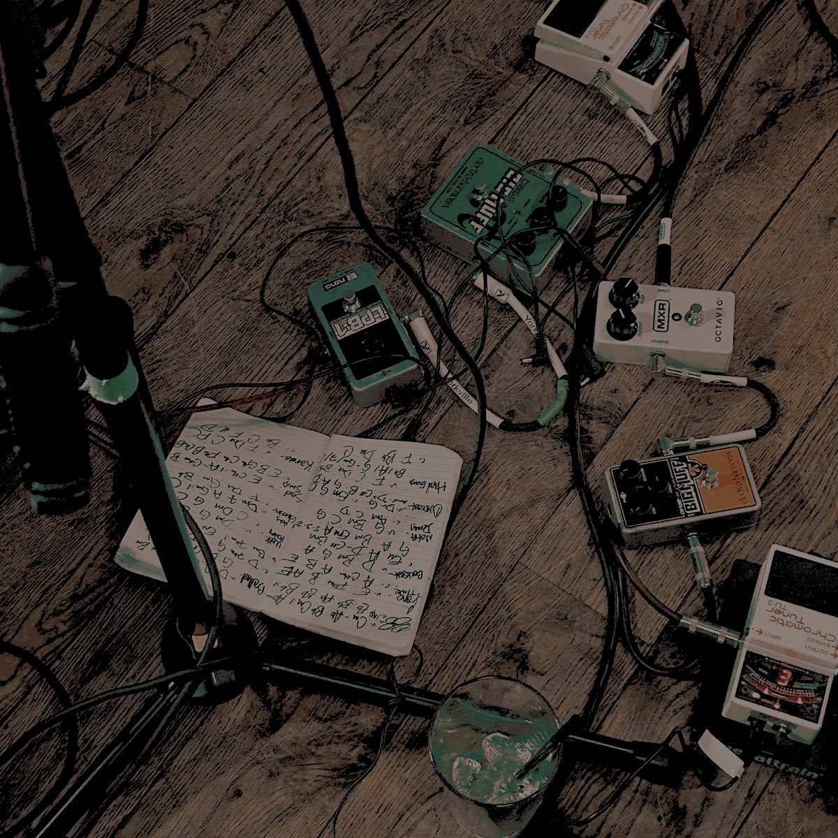 msicheals's tweet image. 