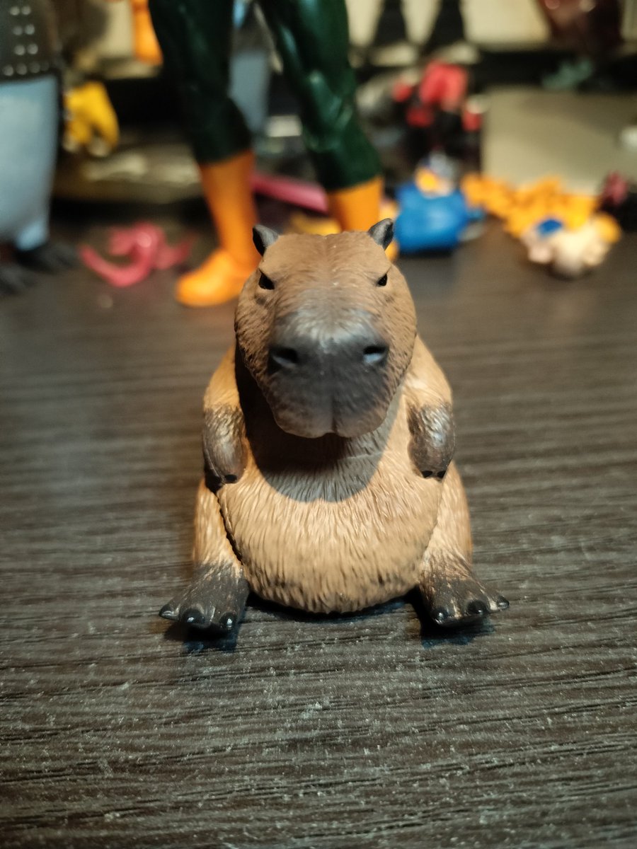 今日はコミコンにてＩＴＲさんのお手伝いをしております☺️
皆様お待ちしております💪🏻