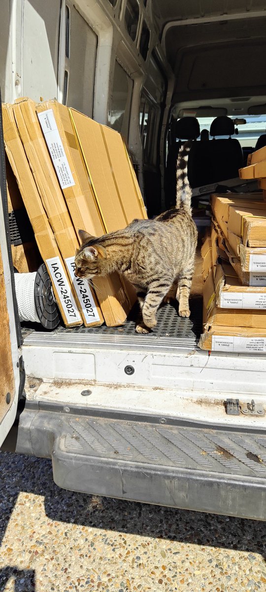 rantydragon's tweet photo. That's not your van mate.... #CharleyTheCat #Really https://t.co/KiCBIhjZXT
