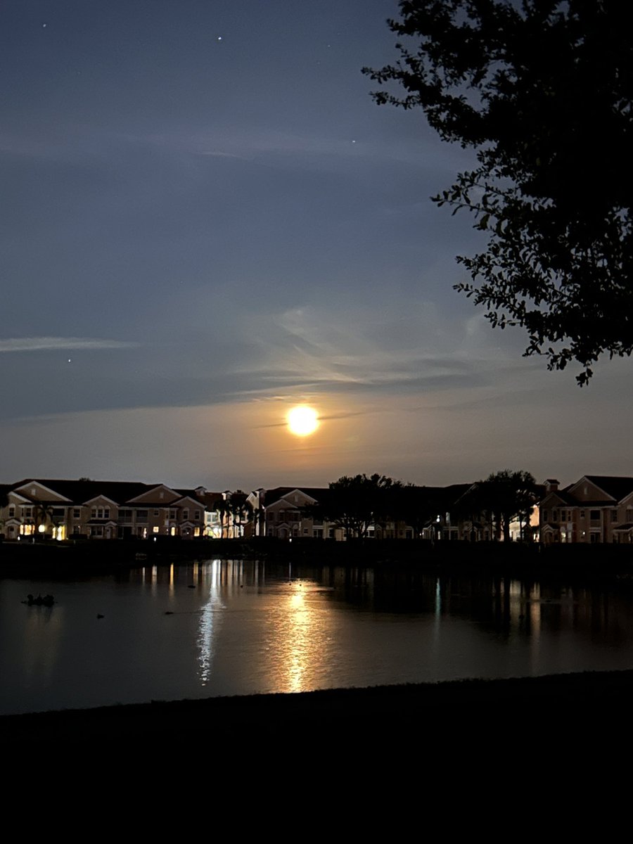 laflamme_sharon's tweet image. Today’s #supermoon from FL 12 hours before peak fullness!  Feel the energy it’s incredible out there.  Go outside and see it tonight. Love ❤️ full moons #FullMoon
Time to #LetGo of something that doesn’t serve you! 💥🙌🙇‍♀️☮️🕉️🌕❤️‍🩹👌🏻🙏