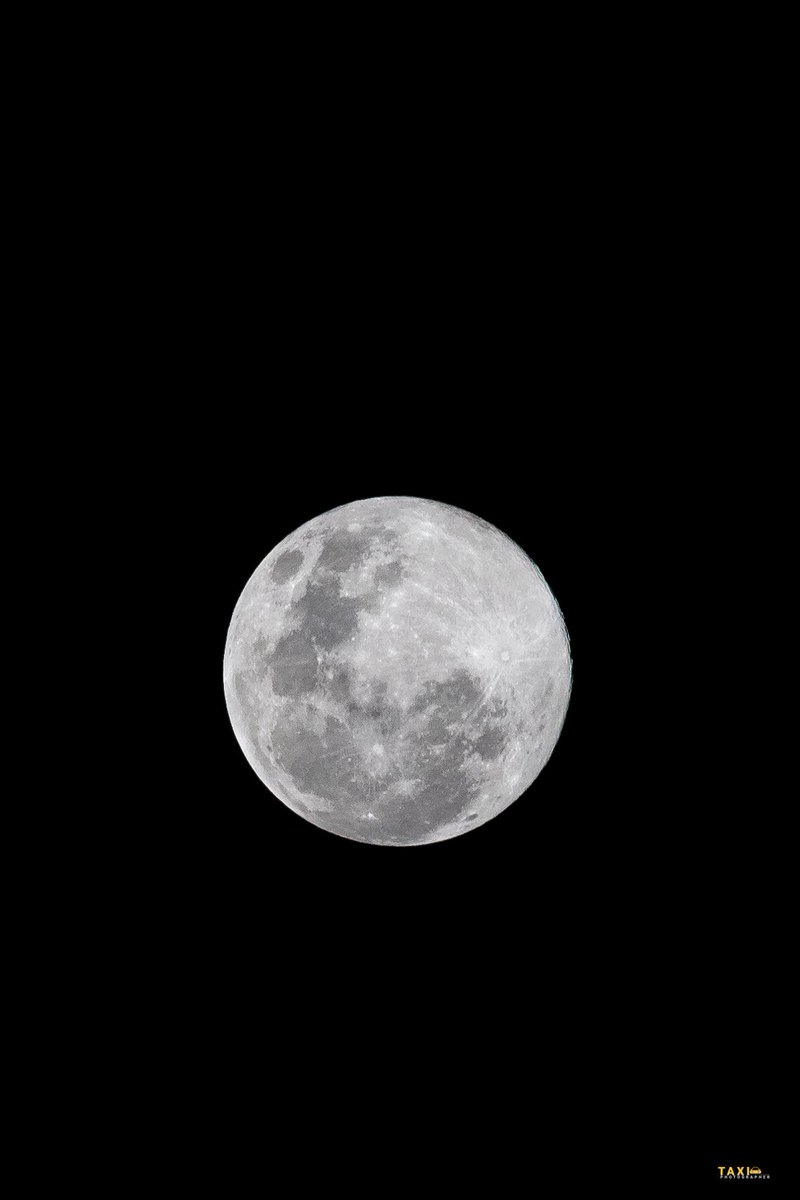 The Taxi Photographer 🚕📸 tweet media