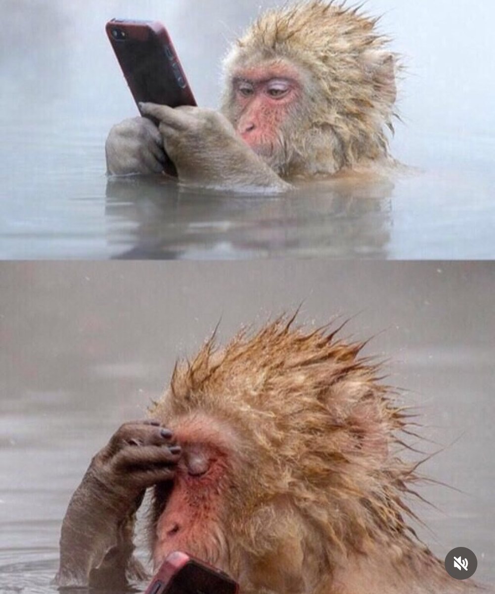 Зайшла в один твітер-акаунт