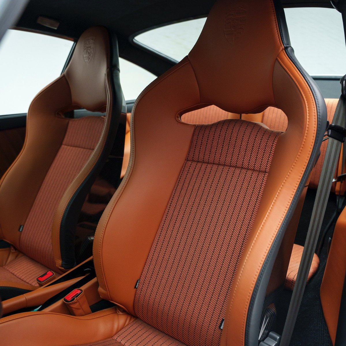 kotecinho's tweet image. 