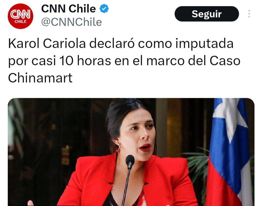 ___Pachi__'s tweet image. En un pais serio Karol Cariola ya estaria en la carcel hace rato.