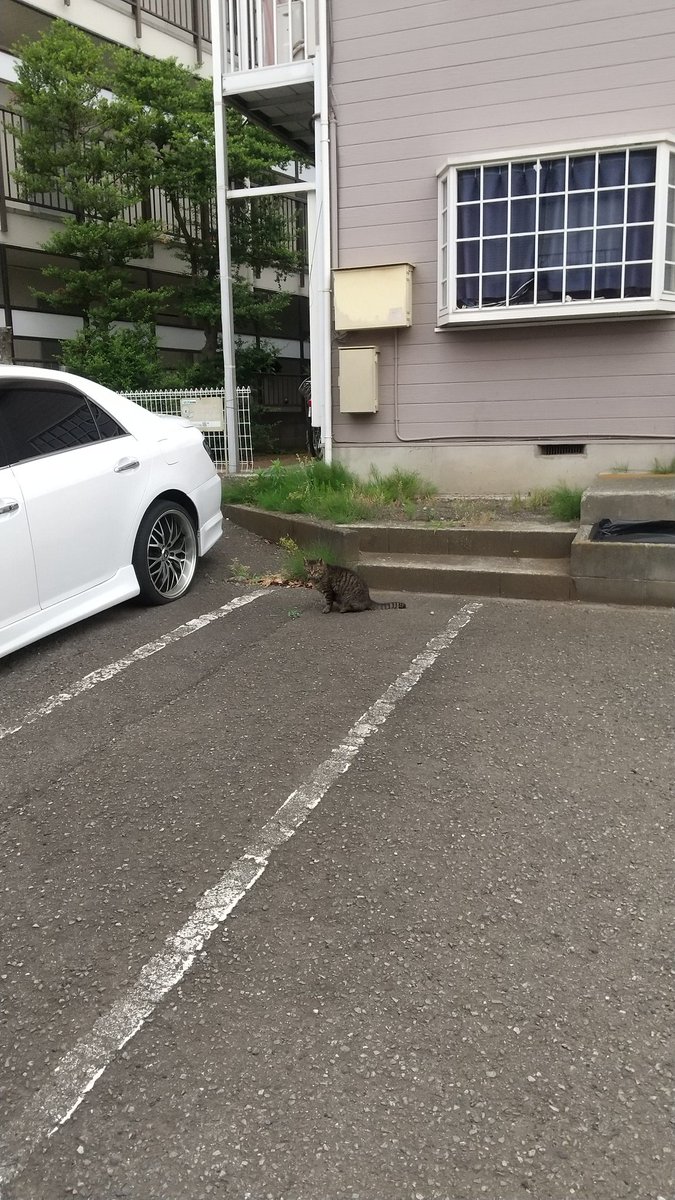 おはようございます🙏