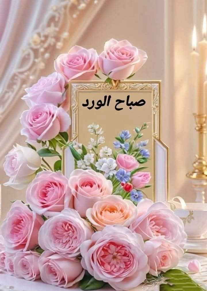 في ليلة الجمعة المباركة 
اللهم خُذ بأيدينا إلى طريقٍ أنت ترضاه
وإلى خيرٍ ورزقا أنت تعلمه 
واجعل لنا في كل همّ مخرجا 
وفي كل ضيق فرج، وفي كل دعاء قبول.
   كل جمعه وأنتم الي الله اقرب