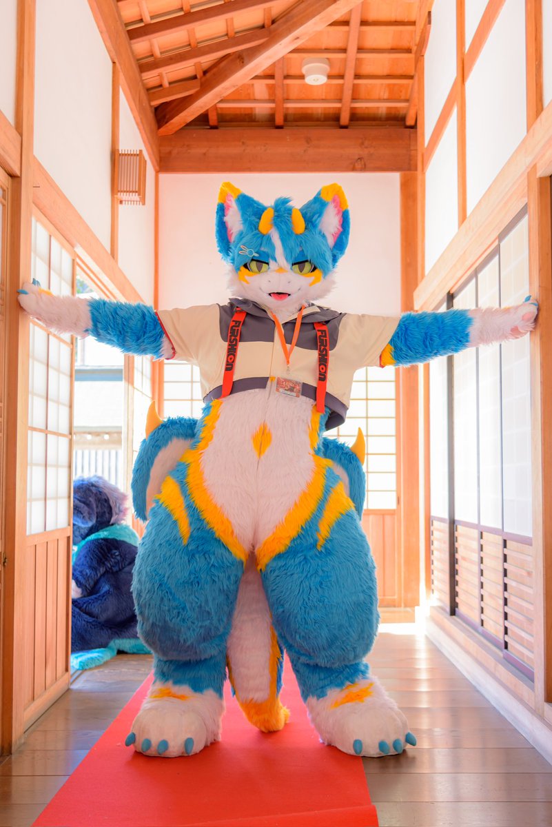 못 지나가요! ❌️
通り抜けません！❌️

#FursuitFriday
#寺もふ 
#寺もふ10