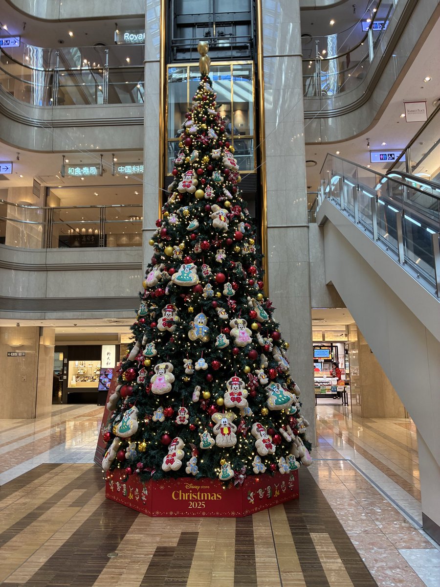 natonato73's tweet photo. これから法事で福岡に帰省します。

ヒメちゃんとキャンディちゃんは、お留守番です。ご飯と飲み水は自動で定期時間に出るので安心ですが、トイレ掃除は娘夫婦が巡回に来るそうです。

羽田空港のクリスマスツリー🎄、寒くなりましたね。 https://t.co/QieBro0Swy