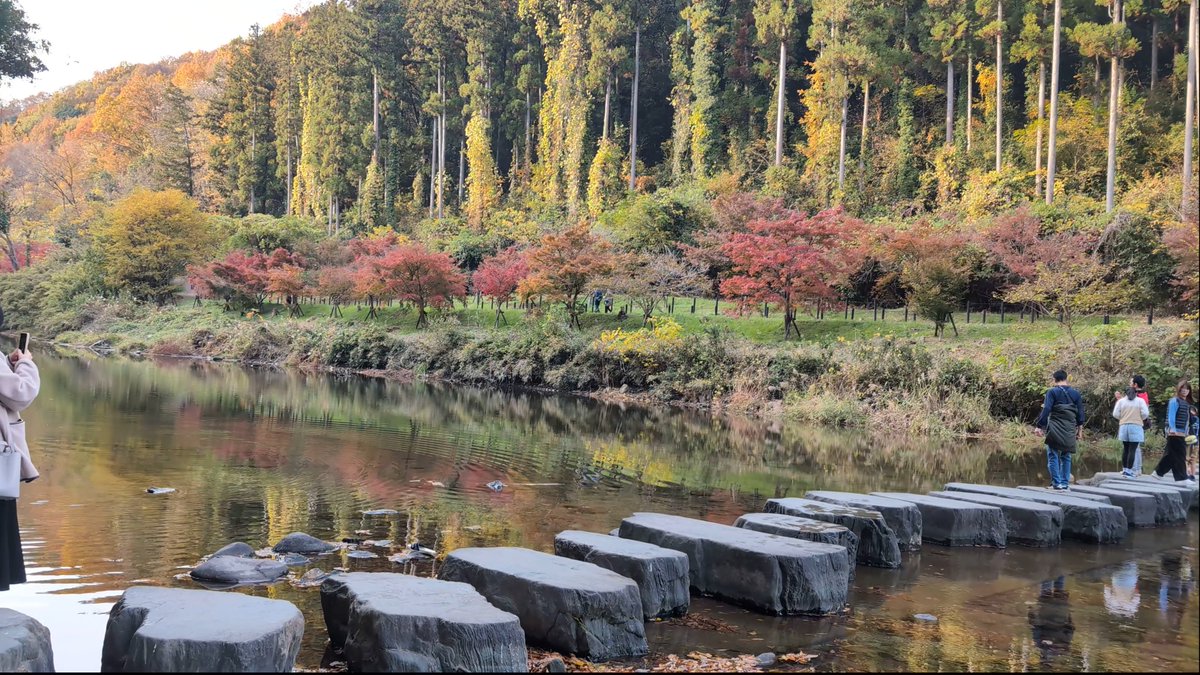 mutenrousi's tweet photo. 《嵐山渓谷》埼玉県比企郡嵐山町 2025.11.23
https://t.co/ZwdXnP54ks
十数年ぶりに行って来ました。記憶より整備されてワクワク感が減った様な気も...
駐車場待ち有り、自分たちは昼食を食べたお蕎麦屋さんに駐車の許可を戴き、少し歩いて来ました。
#嵐山渓谷 #紅葉 #埼玉県 #嵐山町 #観光 https://t.co/xP1DcCXX1i