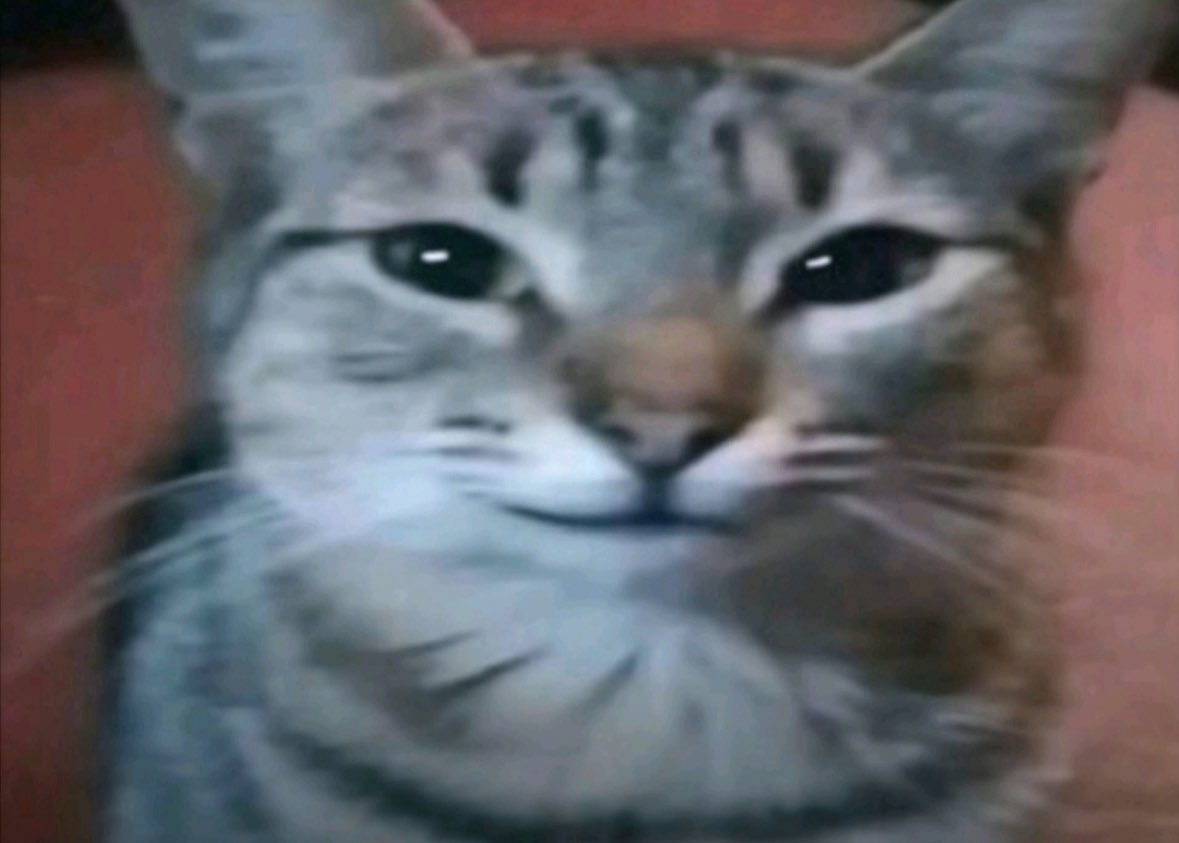 TTV LILTHICCBITTY tweet media