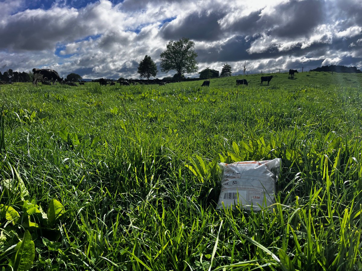 OwlFarmNZ tweet media