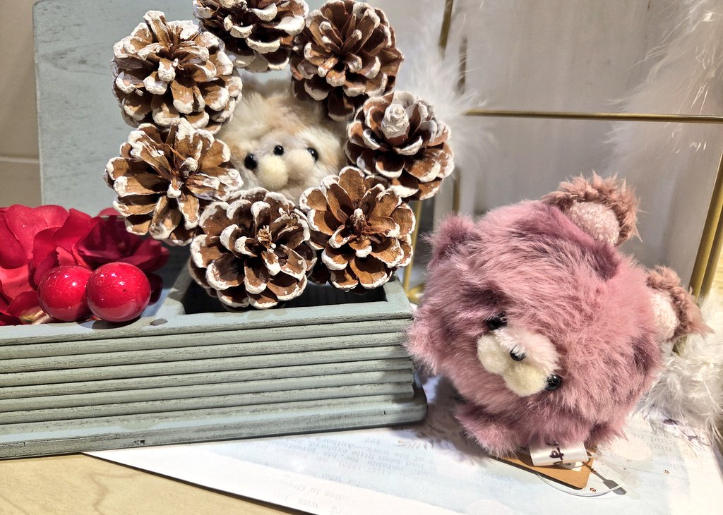 ゆりすけあにまる、ヒョウちゃん無事にお迎えできましたー