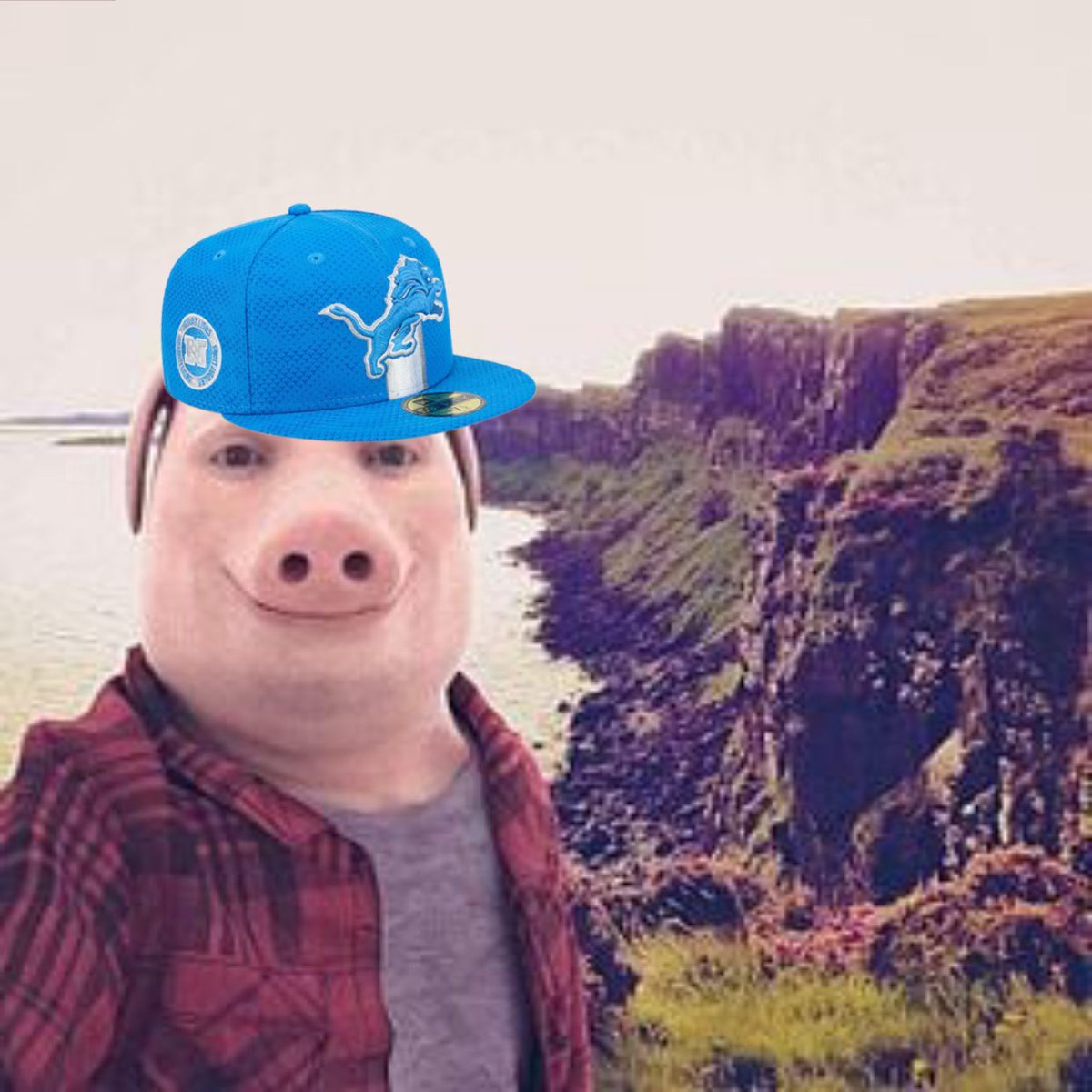 My goat is a lions fan