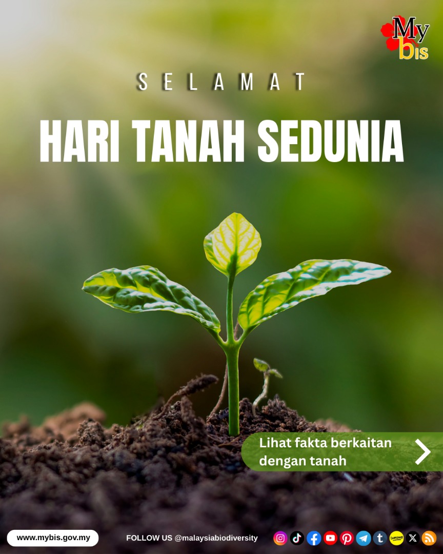 mybisgovmy's tweet photo. Selamat Hari Tanah Sedunia

Tanah adalah sumber hidup kita. Mari jaga, rawat, dan hormati bumi tempat kita berpijak. 🌱

 #HariTanahSedunia #JagaBumi #mybis #malaysiabiodiversiti https://t.co/QQEzY8wkiy