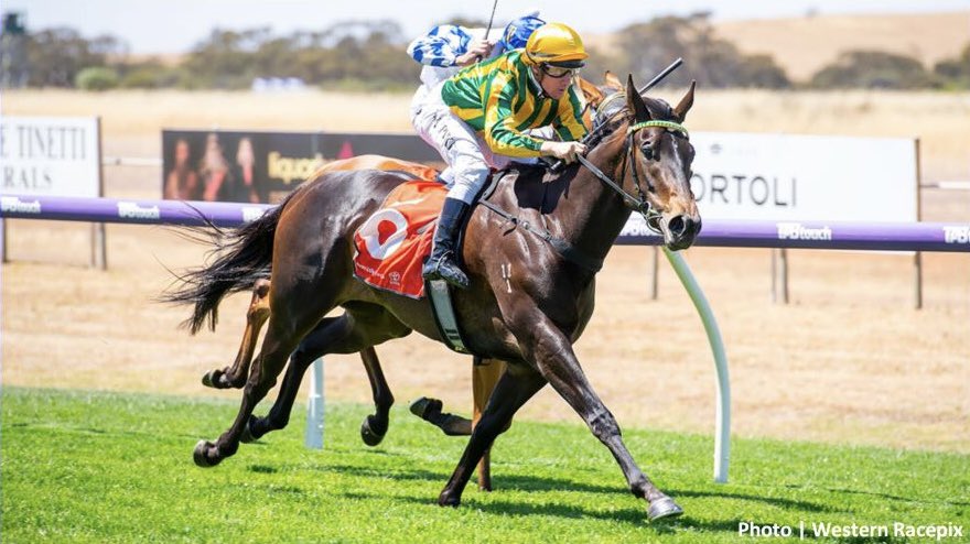 Boom Punting tweet media