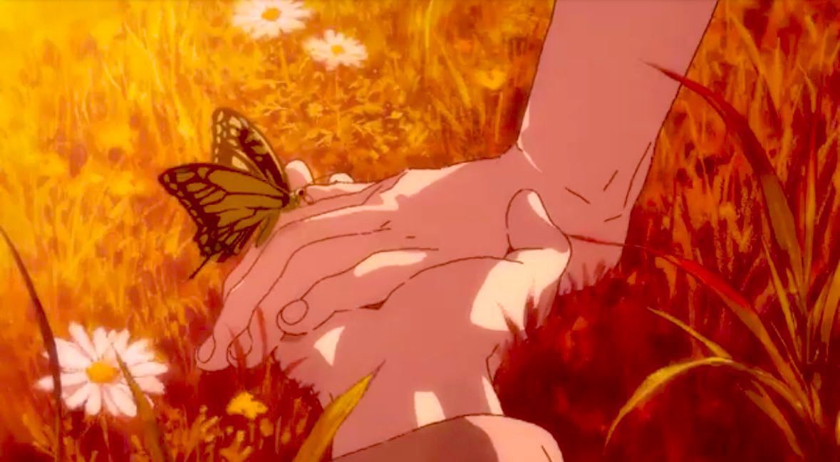 Fazan🇵🇸 tweet media