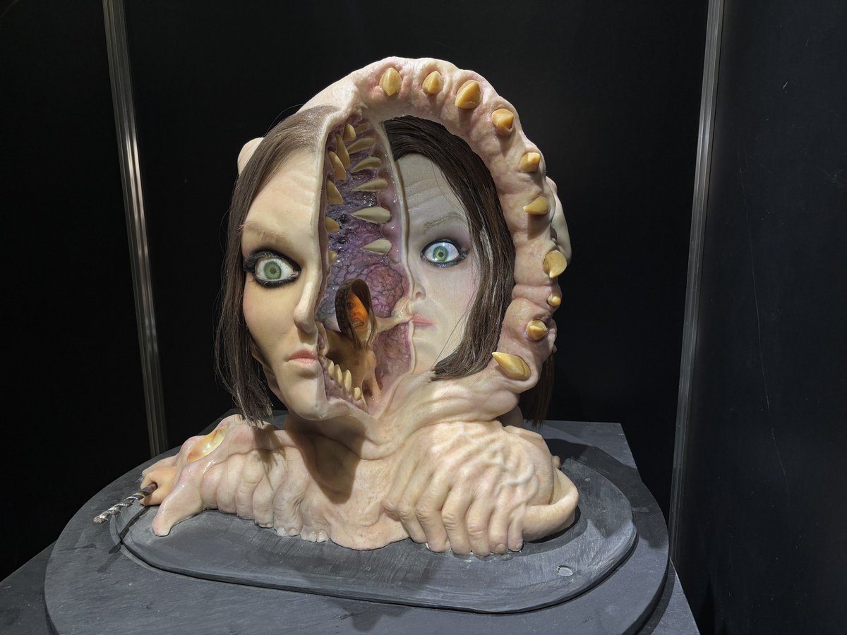 広島フレディ tweet media