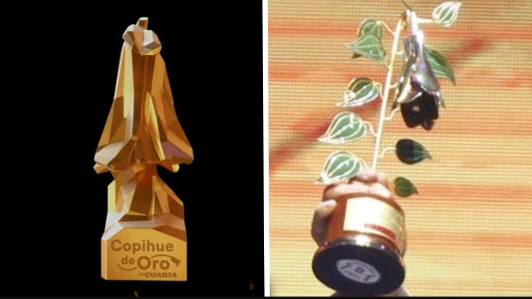 #CopihueDeOroLaCuartaTVN oye pero feo feo el premio nuevo o no?