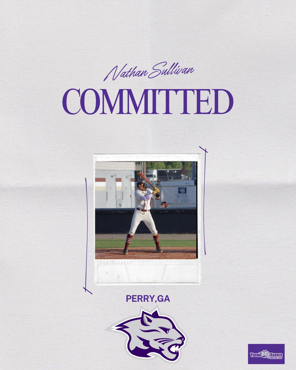 Nathan Sullivan tweet media