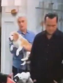 #GH Of all the things Sonny and Ric have done, them standing there as accomplices to dog-napping is hilarious.