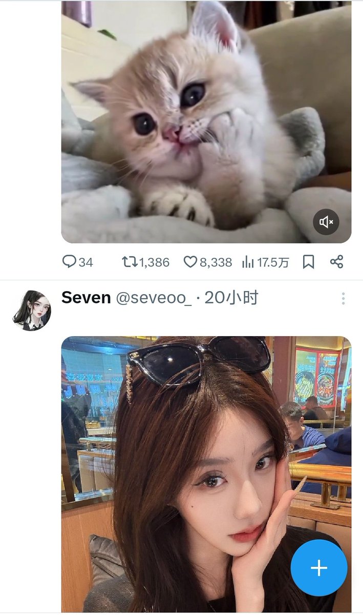babobcc's tweet photo. @seveoo_ 和上一条小猫的动作好相似hh https://t.co/yFyXW8hwDh