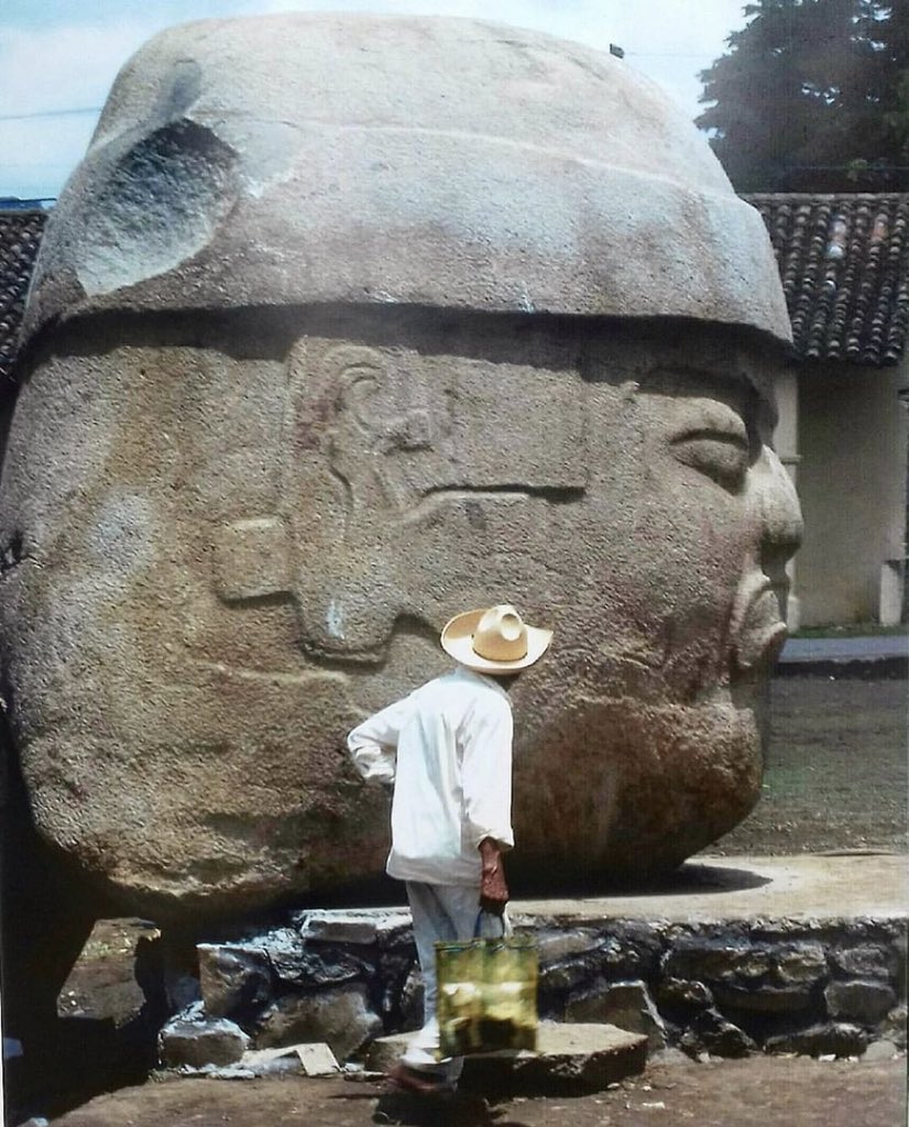 Cuauhtemoc_1521's tweet image. Les presento la cabeza olmeca más grande y pesada de las 17 encontradas hasta la fecha. Es la cabeza colosal 1 encontrada en rancho Cobata, cerca de la z.a. de Tres Zapotes. Pesa 50 toneladas y tiene una altura de 3.4 m. Actualmente se encuentra en plaza Santiago Tuxtla…