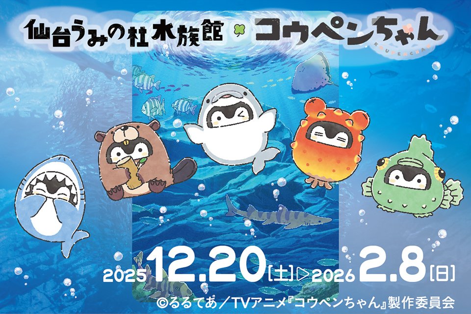 🎉仙台うみの杜水族館×コウペンちゃん🎉 コラボレーション企画の詳細が