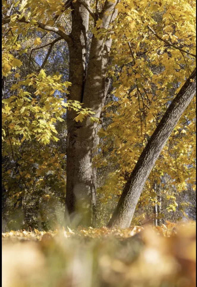 Good morning  fam✨

Happy Friday to you all

Sends those Gm👇

Gmgm