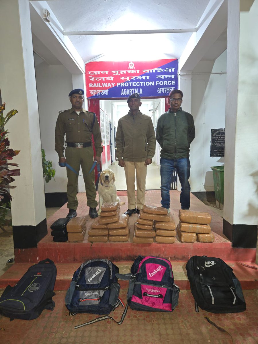#OperationNarcos
<a href="/RPF_INDIA/">RPF INDIA</a>
<a href="/RailMinIndia/">Ministry of Railways</a>
<a href="/zscrnfr/">ZSCRNFR</a>
<a href="/drm_lmg_nfr/">मं.रे.प्र.लामडिंग, पू.सी.रेलवे / DRM LUMDING NFR</a>
<a href="/rpfpcagtl/">RPF post Agartala</a>
<a href="/rpfpcdmr/">RPF post Dharmanagar</a>
<a href="/rpfpclmg/">RPF post Lumding</a>
On 04.12.2025 RPF AGTL,DMR &amp; LMG recovered 56 Kg’s Ganja &amp; 143.63 grm heroin, Rs.56,72,600/- from AGTL Stn &amp; T/No-05628 DN &amp; 20503 DN further handed over to concerned for legal process.
