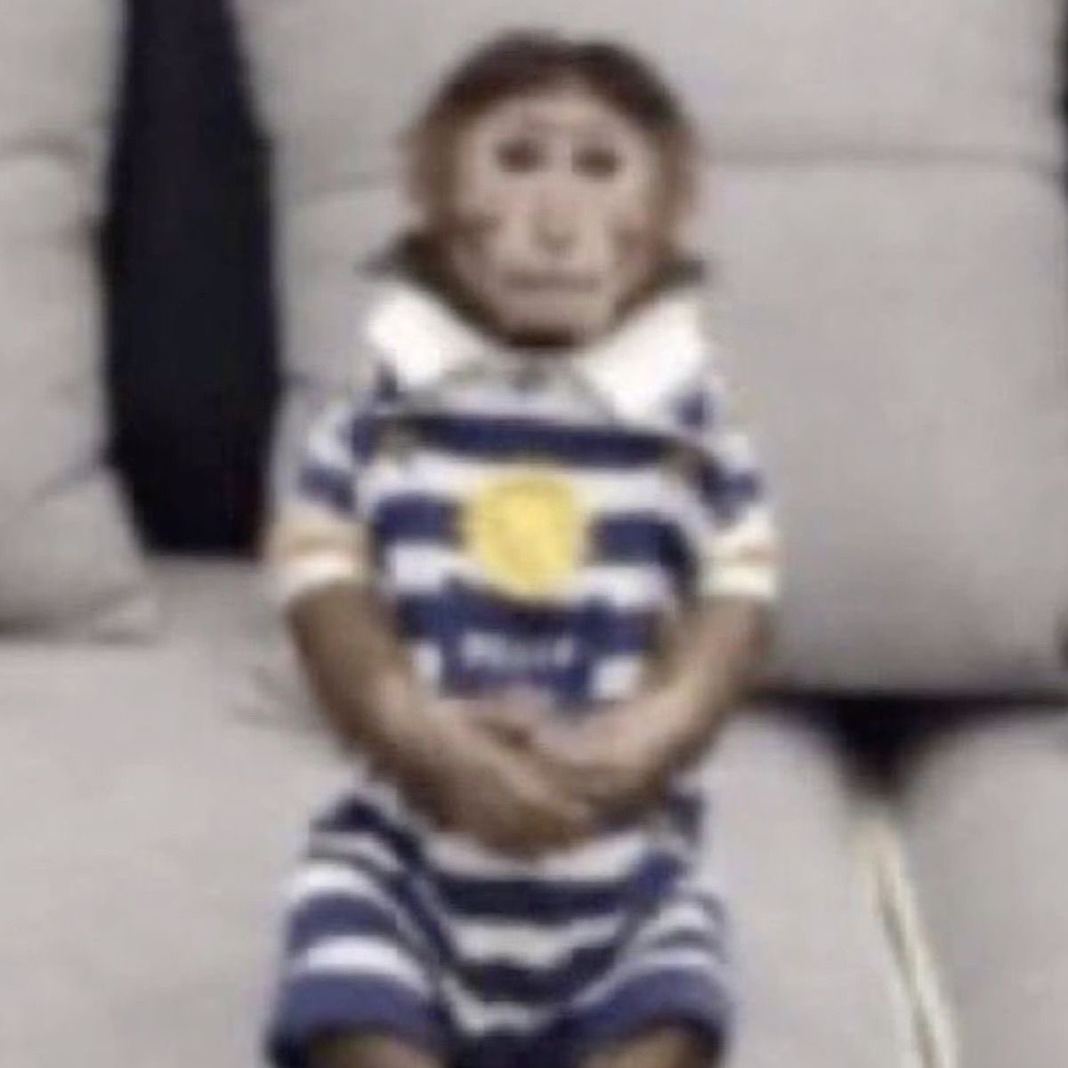 el de la papelería viendo como voy cada semana a comprar un sacapuntas