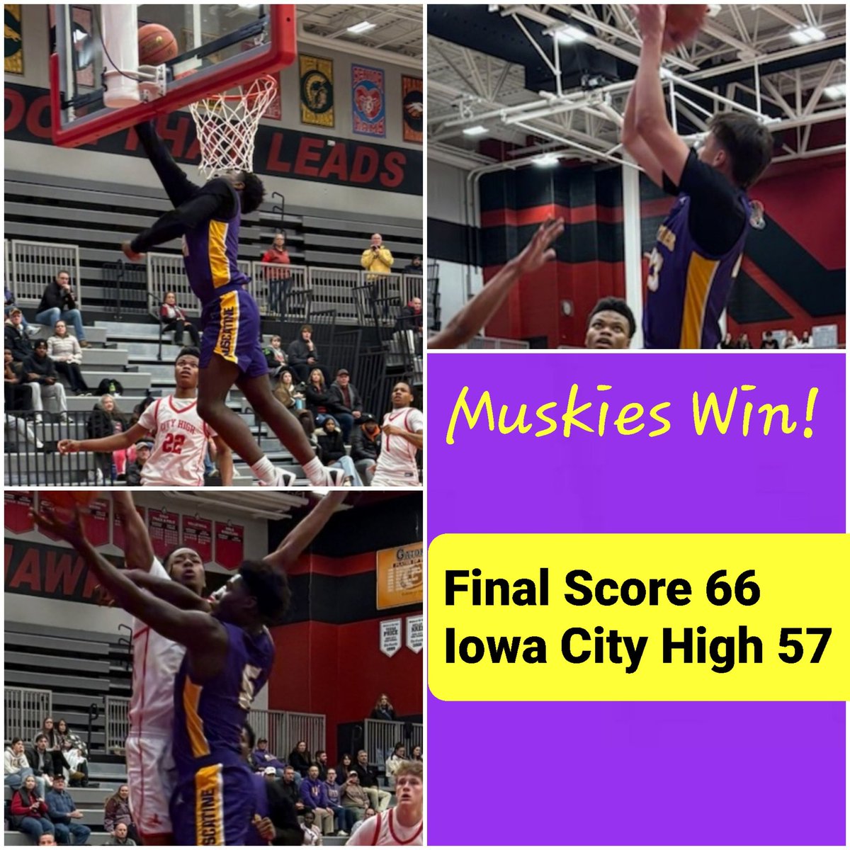 Muscatine Profile tweet media